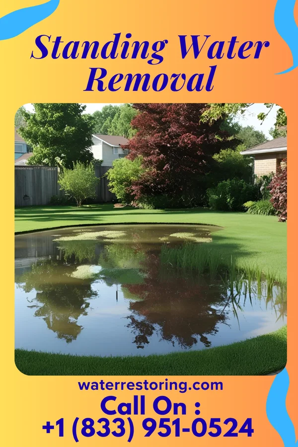 Standing Water Removal in Corinth, TX